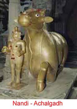nandi.jpg