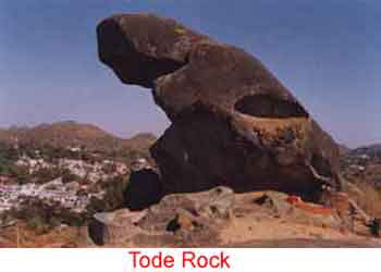 toadrock.jpg